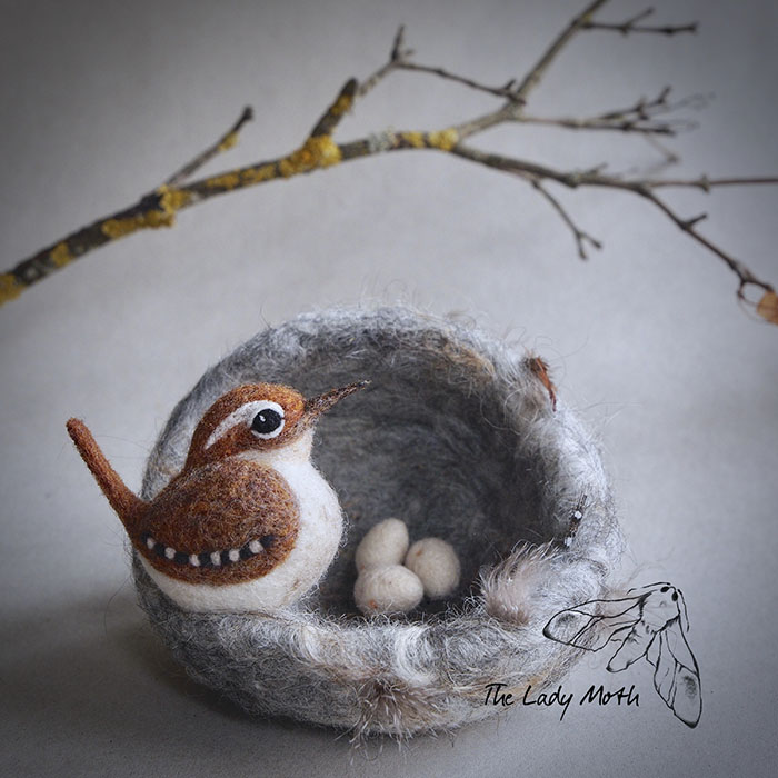 Wildlife - My Inspiration