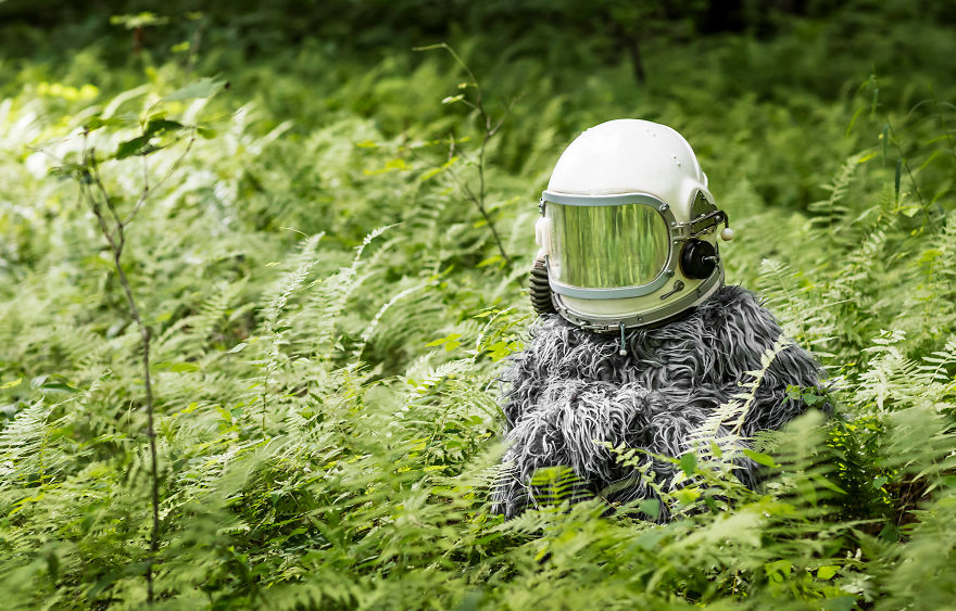 I Created Space-Age Bigfoot Costume For Summer Road Trip Project