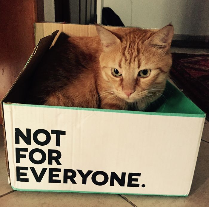 Mr. Toufas - Only For Me..!!