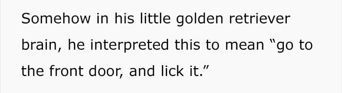 trained-dog-licking-door-tumblr-answer-normalgiraffes-18 trained-dog-licking-door-tumblr-answer-normalgiraffes-18