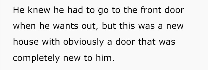 trained-dog-licking-door-tumblr-answer-normalgiraffes-19 trained-dog-licking-door-tumblr-answer-normalgiraffes-19