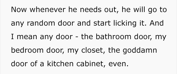 trained-dog-licking-door-tumblr-answer-normalgiraffes-21 trained-dog-licking-door-tumblr-answer-normalgiraffes-21