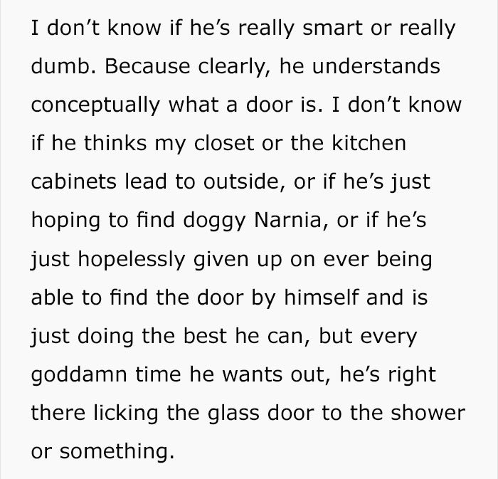 trained-dog-licking-door-tumblr-answer-normalgiraffes-22 trained-dog-licking-door-tumblr-answer-normalgiraffes-22