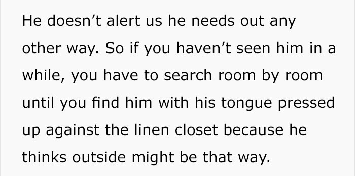 trained-dog-licking-door-tumblr-answer-normalgiraffes-23 trained-dog-licking-door-tumblr-answer-normalgiraffes-23