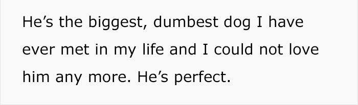 trained-dog-licking-door-tumblr-answer-normalgiraffes-24 trained-dog-licking-door-tumblr-answer-normalgiraffes-24