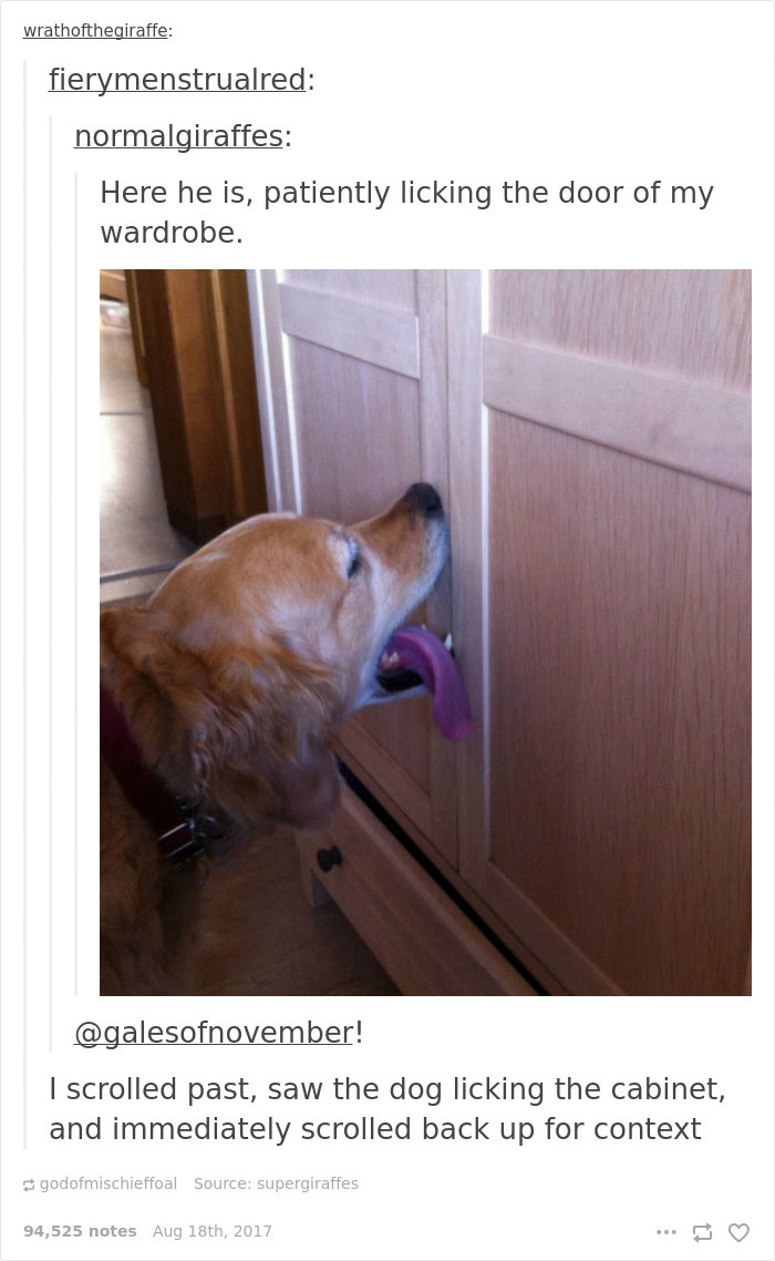 trained-dog-licking-door-tumblr-answer-normalgiraffes-25 trained-dog-licking-door-tumblr-answer-normalgiraffes-25