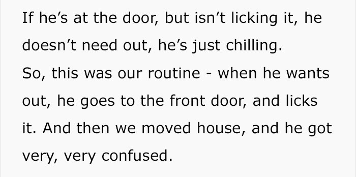 trained-dog-licking-door-tumblr-answer-normalgiraffes-26 trained-dog-licking-door-tumblr-answer-normalgiraffes-26