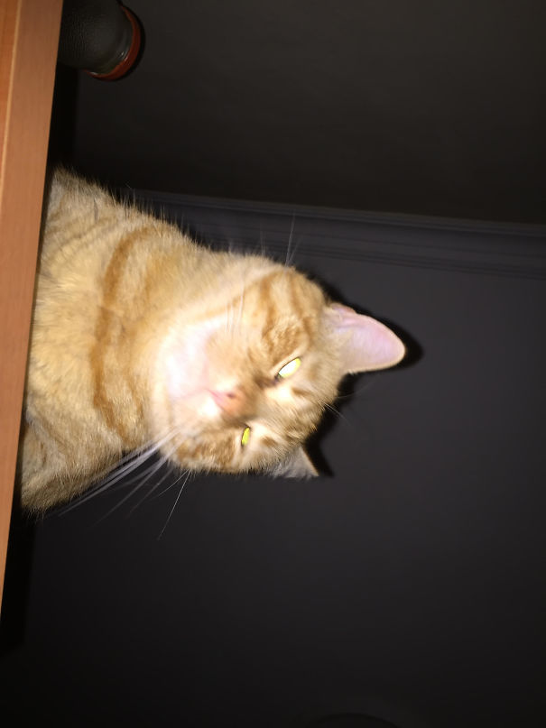 Woke Up To This In The Middle Of The Night..