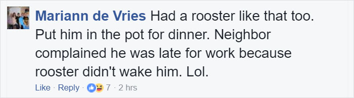 Desperate Woman Is Giving Away Her ‘A**HOLE ROOSTER’, And Her Post Will Make You Laugh Out Loud Desperate Woman Is Giving Away Her ‘A**HOLE ROOSTER’, And Her Post Will Make You Laugh Out Loud