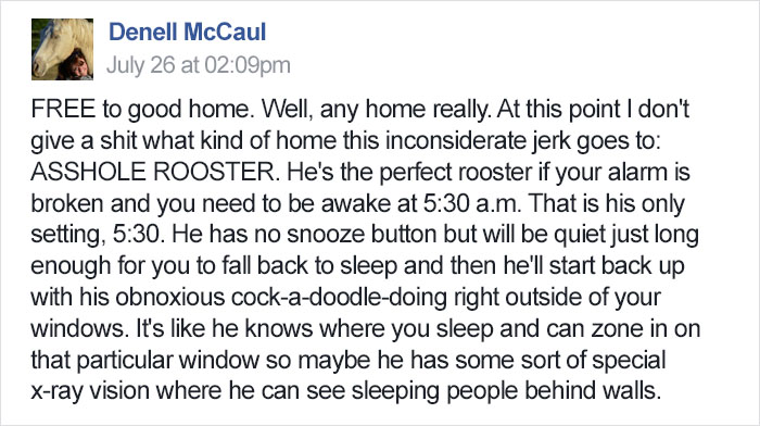 Desperate Woman Is Giving Away Her ‘A**HOLE ROOSTER’, And Her Post Will Make You Laugh Out Loud