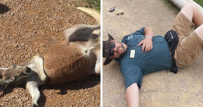 16 Hilarious Pics That Show What Happens When Zookeepers Have Too Much Time On Their Hands