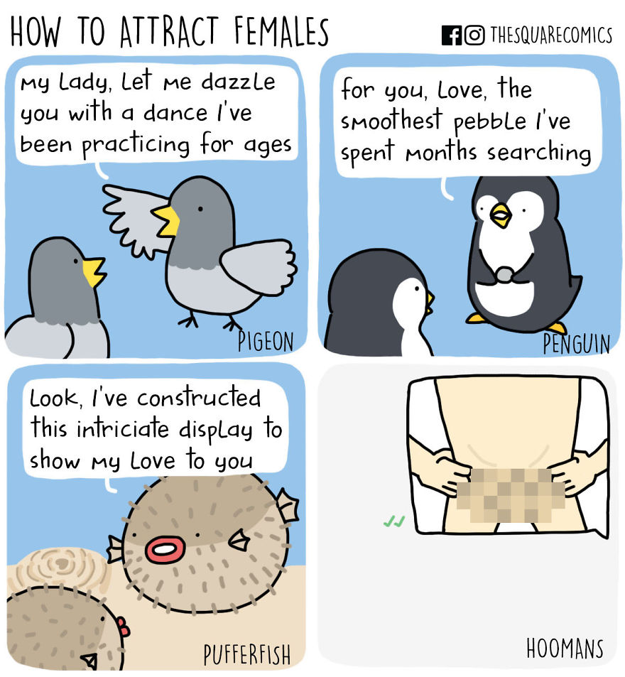 What If Inanimate Objects/animals Could Speak? (part 2) (20+ Pics)