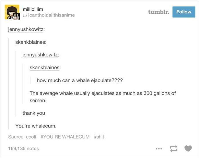 10 Tumblr Pun Posts That'll Make You Groan