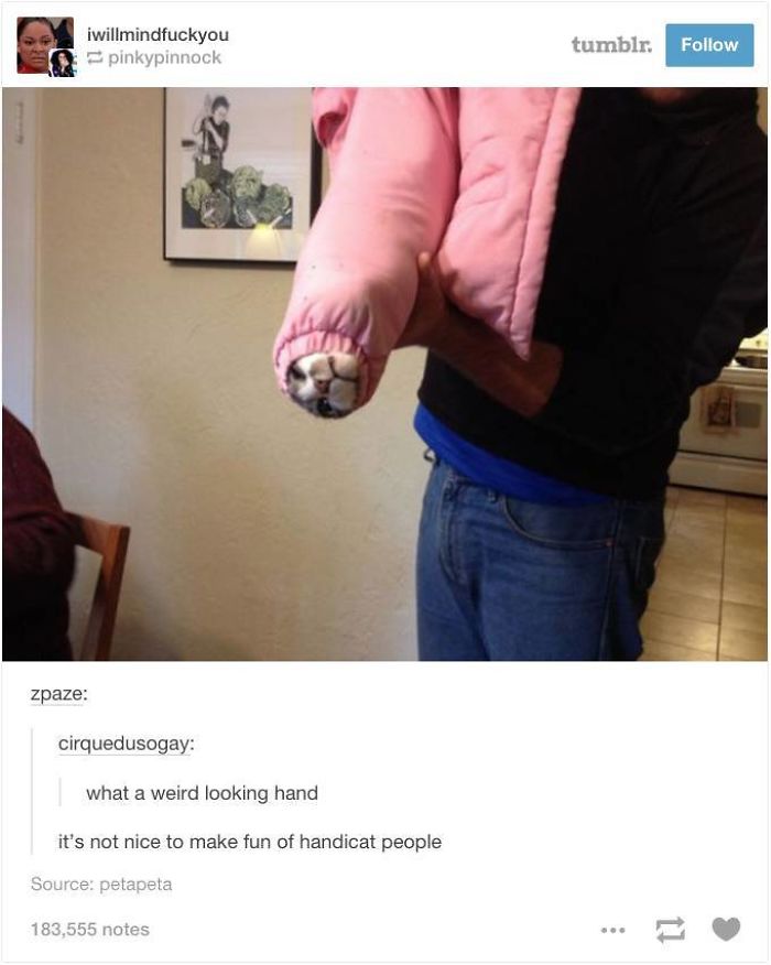 10 Tumblr Pun Posts That'll Make You Groan