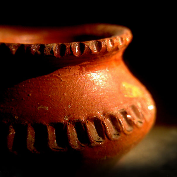 This Hack Lets You Take Amazing Macro Photos With Any Smartphone