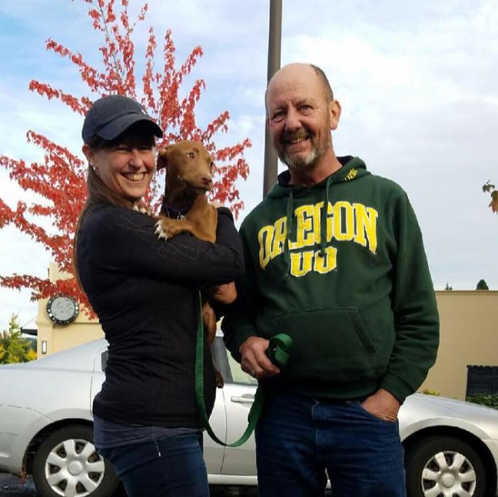 We Rescued Iris From Texas And Gave Her A Forever Home In Oregon. This Is 2 Minutes After Getting Her Out Of The Van. She Was So Scared, But Warmed Right Up To Us!!