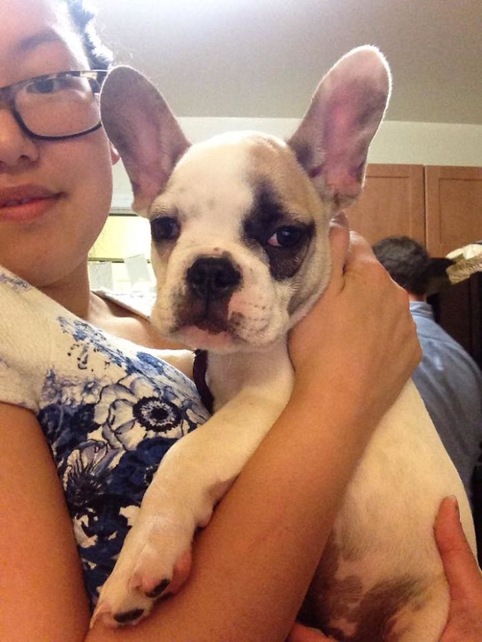 My Baby, Frodo Waggins