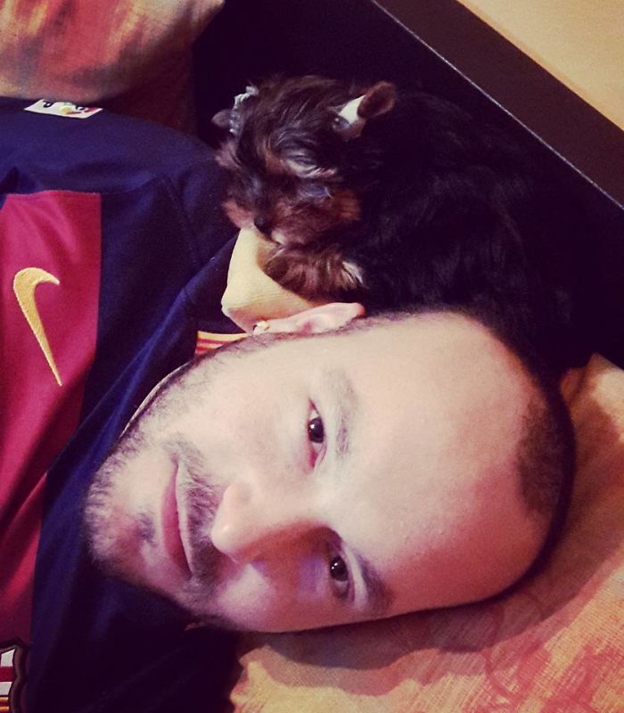 Oskar`s First Night At Home, He Still Loves To Sleep At My Husbands Head