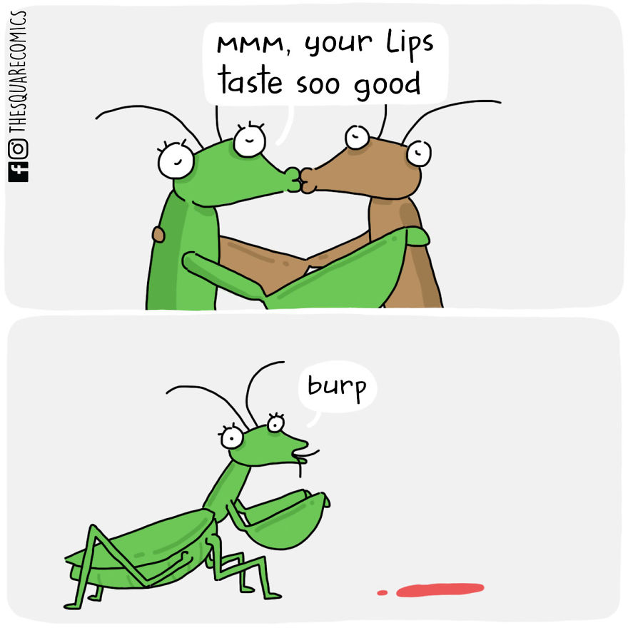 What If Inanimate Objects/animals Could Speak? (part 2) (20+ Pics)