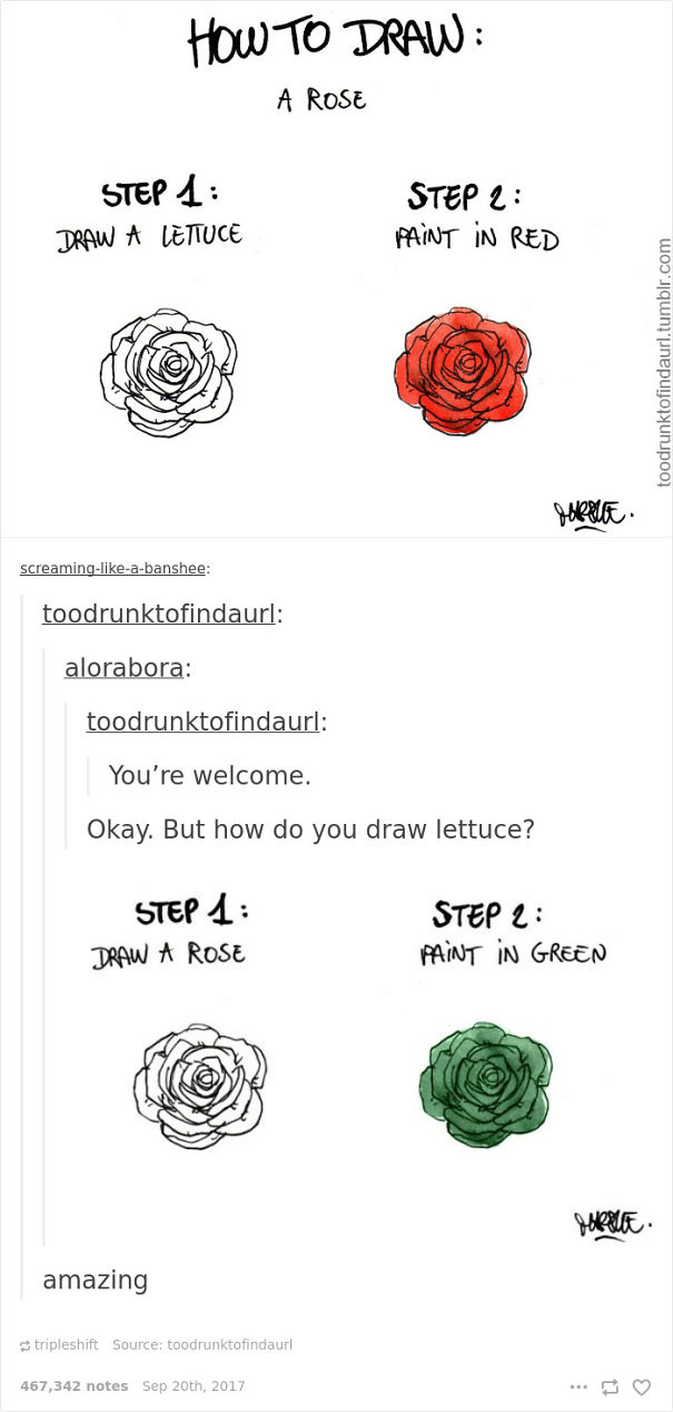 guide how to draw rose and lettuce 