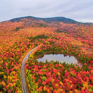 laurieinmissouri_1 avatar