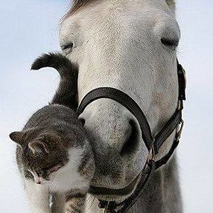 elizabeth_young avatar