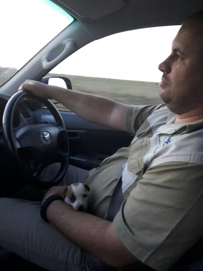 The Day We Met. He's Not My Dog, He's My Son !