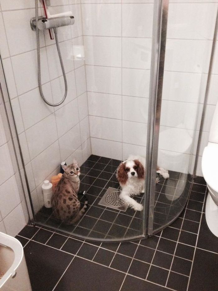 The Ultimate Hang-out Spot In The House For Elsa And Idun.