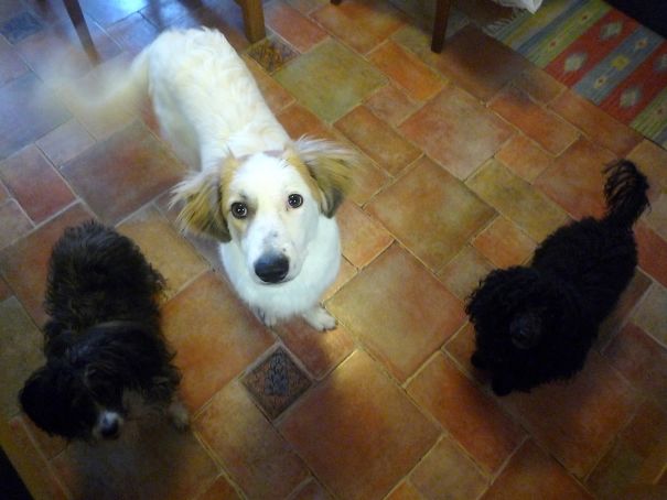 Sweet Trio. All Eyes On Me