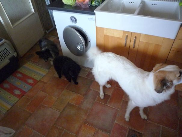 Dinner Time. Waiting In Line