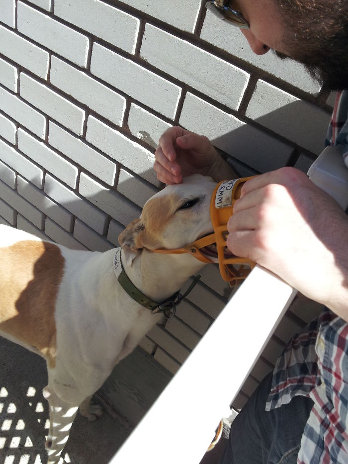 My Husband Meeting Our Retired Racer For The First Time.