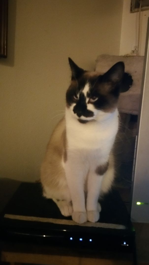 Eddy Crossed Eyes And Splotch.