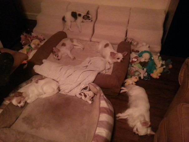 Everybody Taking A Break...