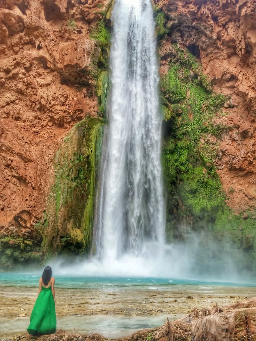 The "Gogreendress" Adventure Continues The "Gogreendress" Adventure Continues