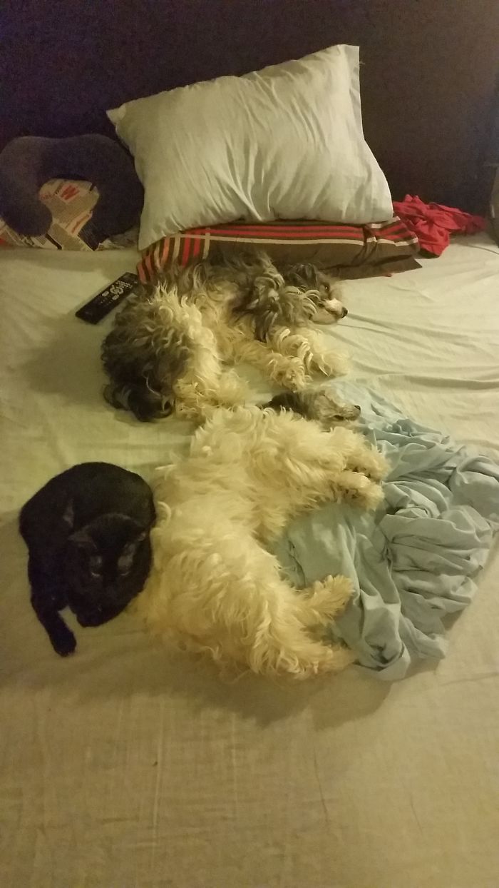 Where´s My Side Again?