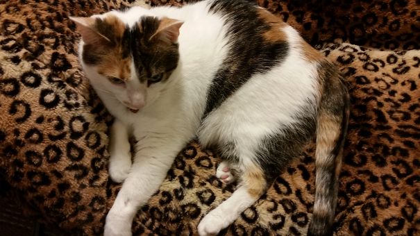 Aloha Wears Her Heart On Her Head!