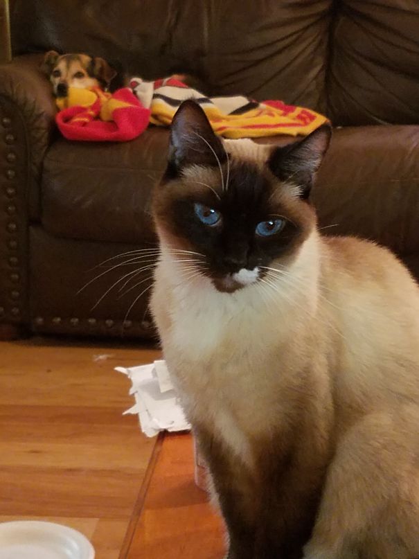 A Bit Of An Elvis Lip Curl.