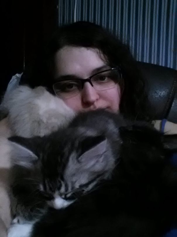 A Group Of Three Or More Sleepy Kittens Shall Henceforth Be Known As A "cuddle"