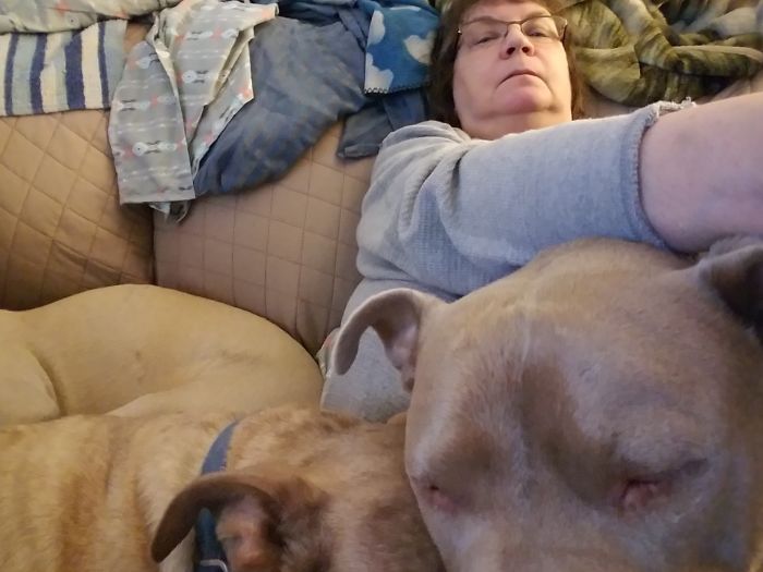 I Have A Huge L-shaped Couch But All 3 Dogs Must Be Touching Me. Cat Is Usually Behind My Head But You Can Glimpse A Piece Of Her To My Right.