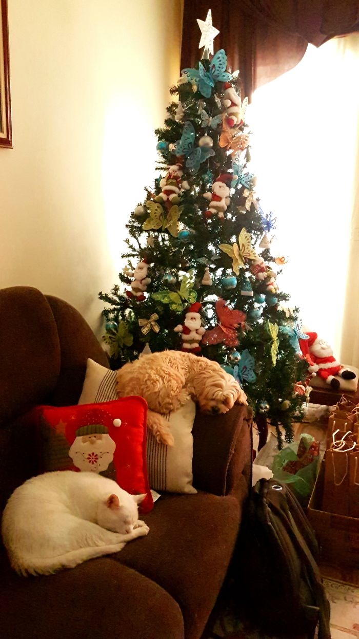 Waiting For Santa Claus.