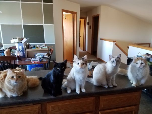 Is It Lunch Time Yet?