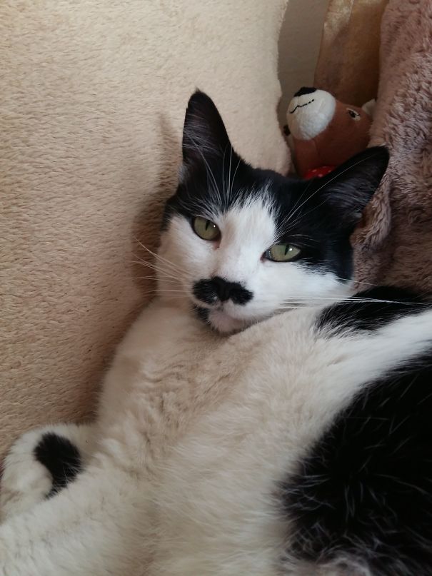 Mau Mau Nicknamed Hitler