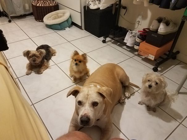 Waiting On Our Dinner..