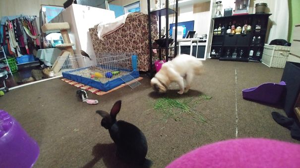 Can You Find All Seven? That's Not Even All Of Them.