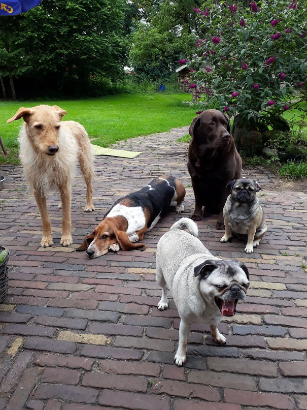 Kirk Boots Bounty Monki Peach