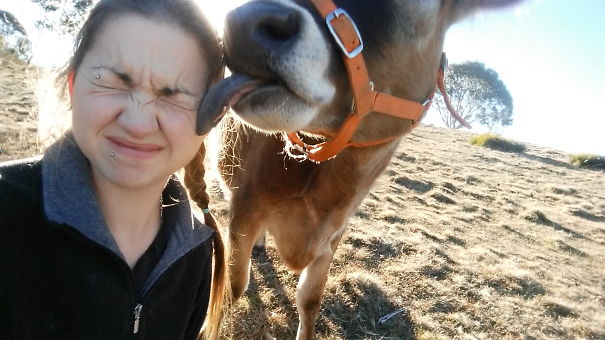 I Love You Best Human Friend 😋