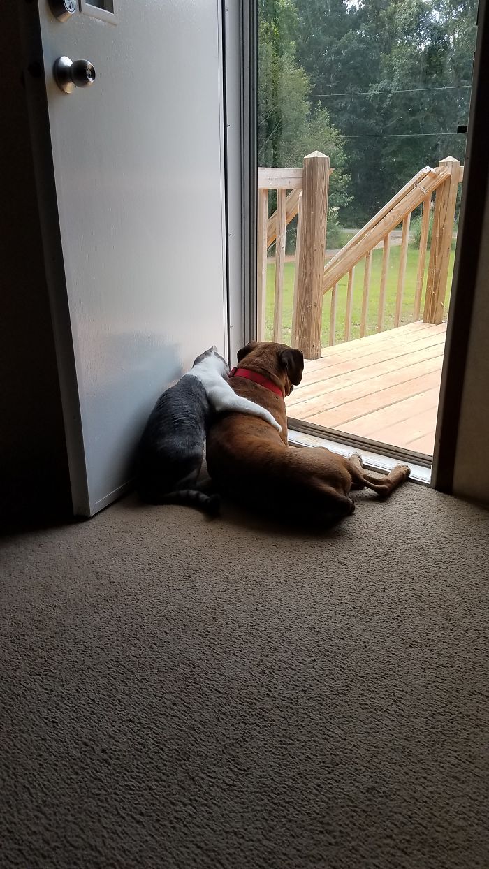 Hey Friend, You Need A Hug??