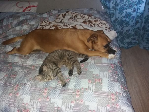 Still Some Room For The Third One :)