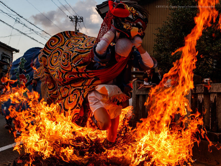 Three Lions Running Through The Burning Fire
