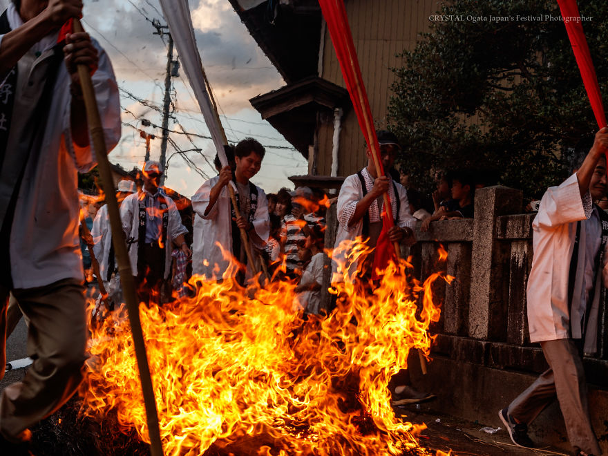 Three Lions Running Through The Burning Fire